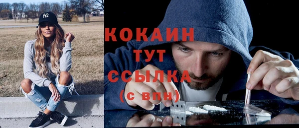 тгк Семёнов
